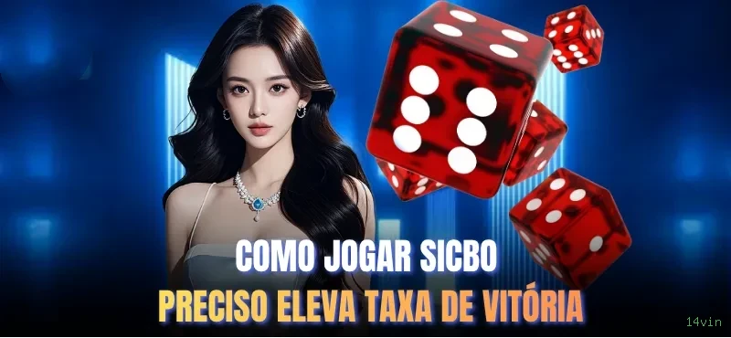 Suporte VIP 14vin - atendimento prioritário
